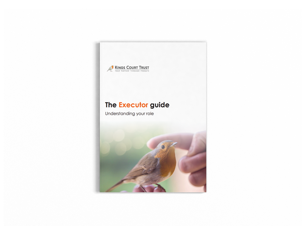 The Executor Guide - Cover with shadow - A4 Magazine Mockup